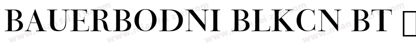 BauerBodni BlkCn BT 普通 (西方)字体转换